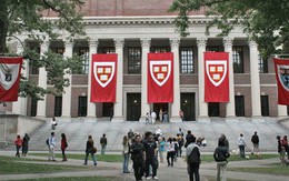 3 điều đại học Harvard danh tiếng đang "nói dối" mà không phải ai cũng biết