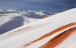 Sa mạc Sahara lại có tuyết rơi