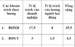 Trốn đóng BHXH bị phạt đến 7 năm tù