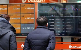 Giữa cơn bão màu đỏ, nhà đầu tư bitcoin ngậm ngùi nhìn về một thời đã xa