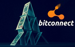 Bitconnect - từ khóa được người Việt tìm nhiều nhất trên Google hôm nay là gì?