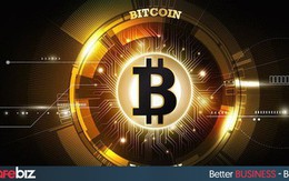 Nhóm người nắm giữ 14% tổng nguồn cung bitcoin và ethereum trên toàn cầu là ai?