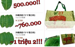 Lá chuối, bèo tây... ở Việt Nam không đáng tiền nhưng sang Nhật hóa thành hàng đắt đỏ