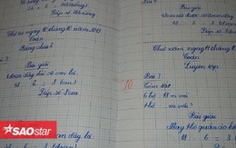 Chữ viết tay siêu đẹp của bé gái 8 tuổi người Việt gây xôn xao trên Reddit