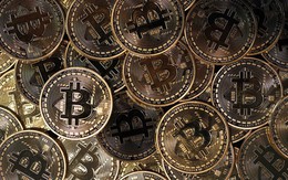 Tại quốc đảo này, bạn có thể dùng bitcoin để nhập tịch