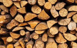 Các nhà khoa học đã tạo ra gỗ nhân tạo có thể chống nước và lửa, sản xuất cũng nhanh hơn so với trồng cây