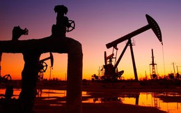 Giá dầu liên tiếp giảm dù Mỹ tái áp trừng phạt lên Iran