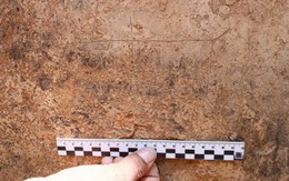 Các nhà khảo cổ Israel phát hiện nhiều hình chạm khắc 2.000 năm tuổi