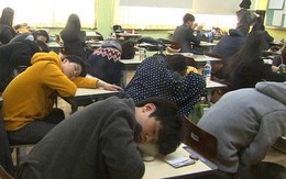 Tiến sĩ Oxford: "Học sinh ngủ trong lớp đâu phải vì lười, giáo dục nên coi giấc ngủ như một phần trọng tâm"