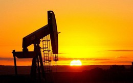 Nhà đầu tư bán tháo, giá dầu sụt 7% về mức 55USD/thùng