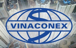 3,2 triệu m2 đất của Vinaconex hấp dẫn các ‘ông lớn’ bất động sản