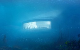 Sắp mở cửa nhà hàng dưới nước lớn nhất thế giới