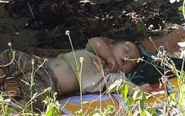 Hình ảnh cậu bé bụ bẫm nằm ngủ dưới gốc cây cà phê khi theo bố mẹ lên rẫy "đốn tim" cộng đồng mạng vì quá sức dễ thương