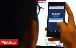 Đây chính là lý do Apple thẳng tay gỡ bỏ ứng dụng Tumblr khỏi App Store