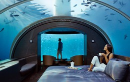 Khách sạn dưới đáy biển đầu tiên trên thế giới vừa được Á hậu check-in: Giá thuê 1,1 tỷ/đêm, mỗi lần nhận không quá 9 khách