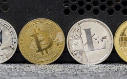 Tiền ảo tiếp tục rớt giá mạnh, Bitcoin có lúc tụt dưới 3.500 USD