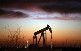 Giá dầu tăng mạnh nhất 8 tuần nhờ tin về cuộc gặp Nga-Saudi Arabia