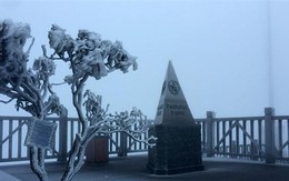 Sương muối trắng đỉnh Fansipan, nhiệt độ ở Sa Pa giảm còn 7,2 độ