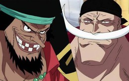 4 trái ác quỷ sở hữu năng lực cực mạnh đã được "chuyển sinh" trong One Piece