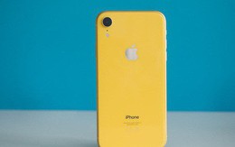 iPhone XR là chiếc iPhone bán chạy nhất lịch sử Apple, nhưng con số chính xác không được công bố