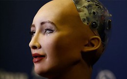 Robot Sophia từng đến Việt Nam sắp có em gái
