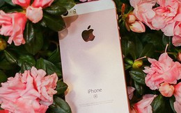 Đây là sai lầm lớn nhất Apple đã mắc phải trong năm qua với iPhone