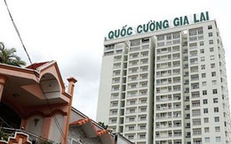 Vì sao Quốc Cường Gia Lai công bố không đầy đủ 14 giao dịch 3.200 tỷ?