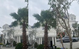 Không hổ danh lấy chồng đại gia, Lan Khuê khoe tổ ấm mới đồ sộ không thua kém đàn chị Hà Tăng