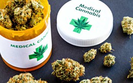 Thái Lan hợp thức hóa cần sa cho mục đích y tế