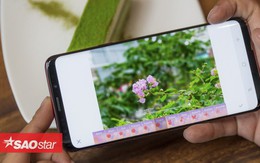 5 bí kíp để chụp ảnh bằng smartphone đẹp lung linh dịp đầu năm mới mà ai cũng nên biết