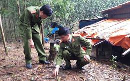 Phát hiện cả 'kho' bom, đạn trong vườn nhà dân