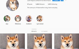 Những tài khoản Instagram dị đến phát hờn: Cả đời chỉ đăng lặp lại liên tục một ảnh y hệt nhau!