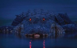Cá sấu ăn thịt người: Tom hai ngón