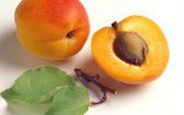 Quả mơ và công dụng đối với sức khỏe