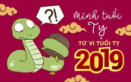 Tử vi tuổi Tỵ năm 2019: Chớ thấy khó mà nản, vận may hé mở vào nửa cuối năm cơ!