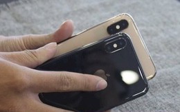 iPhone giảm giá sốc cận Tết