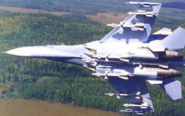 Ukraine - Ba Lan liên thủ phát triển hệ thống phòng không mới: Diệt mọi máy bay Nga?