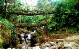 Cầu 2 tầng bằng rễ cây sống đứng sừng sững qua mấy thế kỷ