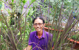 Lão nông 70 tuổi tiết lộ lí do trồng toàn hoa kiểng màu tím, thu hơn 15 tỉ/năm