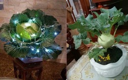 Đỉnh cao của chơi hoa Tết: Từ bắp cải, súp lơ đến cây cà rốt đều lên bàn khách