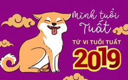 Tử vi tuổi Tuất 2019: Vận trình khởi sắc, thời kỳ 'bung lụa' đến rồi