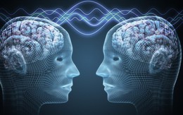 Không phải 2, khoa học đã kết nối được 3 bộ não với nhau: Điều kỳ diệu gì đang xảy ra?
