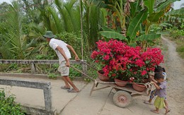 Hai em nhỏ cúi đầu đẩy xe đầy hoa, bức ảnh khiến người ta mỉm cười vì quá yên bình, quá đẹp