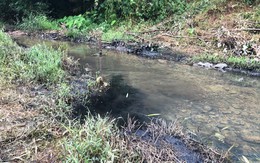 Lời khai ban đầu của 2 đối tượng trong vụ đổ dầu thải gây ô nhiễm nguồn nước sông Đà