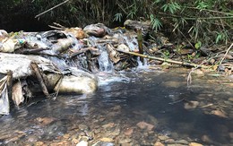 [NÓNG] Tạm giữ hình sự 2 đối tượng liên quan đến việc đổ dầu gây ô nhiễm nguồn nước sông Đà