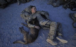 TQ mỉa mai đặc nhiệm Mỹ ở miền bắc Syria: "Đến chó cưng họ còn bỏ rơi"?