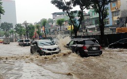 Tạp chí Nature: TP.HCM và hầu hết miền Nam Việt Nam sẽ chìm dưới nước sau 31 năm nữa