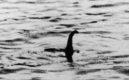 Giải mã bí ẩn: Quái vật hồ Loch Ness - Loài sinh vật kỳ bí khổng lồ không ai ngờ tới