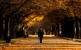 24h qua ảnh: Người phụ nữ đi trên thảm lá mùa thu ở thủ đô Nga