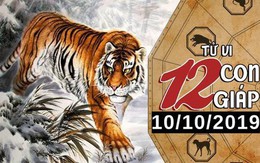 Xem tử vi thứ 5 ngày 10/10/2019 của 12 con giáp: Tý đón tình yêu mới, Thìn nên cải thiện kĩ năng giao tiếp